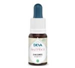 Chicorée (Chicory - N°8)